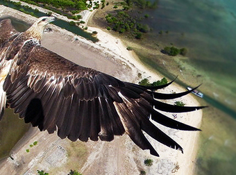 Drones Take Incredible Aerial Photographs Of The World, Something Humans Just Can’t Do.