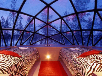 I Want To Go To There… These Are The  20 Coolest Hotel Rooms In The World.