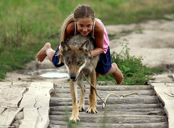 Is This Russia Or Winterfell? This Family Has Their Own Brood Of Pet Wolves.