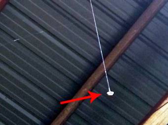 What This Spider Did To Build His Web Is Unbelievable…Whoa.