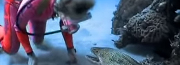 Professional Diver Builds A Heartwarming Friendship With A Wild Eel. This Proves That Animals Just Want Our Love.