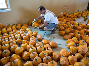 When You See What This Farmer Is Growing For Halloween, You’re Going To Want One.