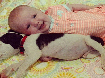 This Baby And Pit Bull Puppy Are The Most Adorable Little Friends.