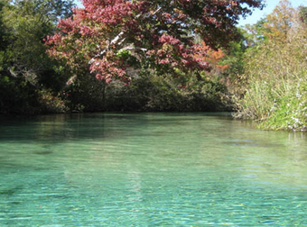 What Happens To This Tourist In Mexico Will Make You Never Want To Go On Vacation Again.