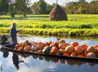 These Fall Harvests From Around the World Will Get You Excited For Thanksgiving.