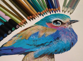 Take A Peak At What This Artist Uses To Create Her Incredibly Detailed Drawings.