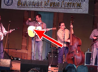 Baby Bird Lands On A Guy’s Guitar Mid-Song, But The Band Just Keeps On Playing!