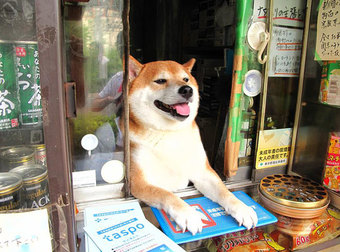 Even If You Hate Cigarettes, You’ll Want To Go To This Cigarette Shop.