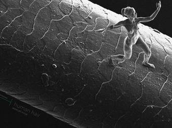 An Artist Used 3D Printing To Create These Impossibly Tiny Nano Sculptures