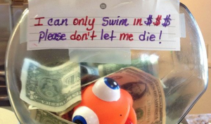 Here Are 22 Genius Tip Jars Guaranteed To Make Customers Very Generous. Brilliant.