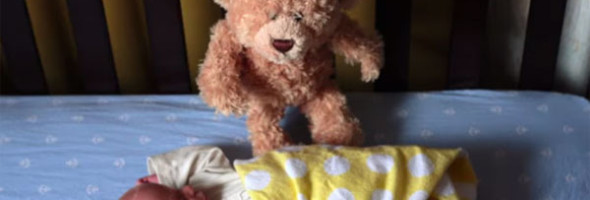 A Teddy Bear Meets His New Best Friend. And It’s Seriously The Cutest Thing Ever.