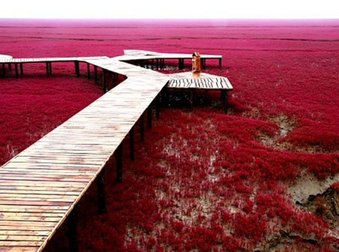 Everyone Should See These Natural Wonders Before They Die.