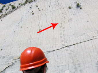 Scientists Found Dinosaur Footprints in the Strangest Place: Going Up a Wall.