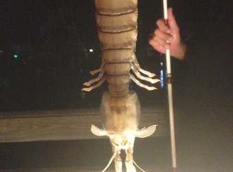 What This Guy Just Caught In Florida Reminds Me How Terrifying Nature Is.