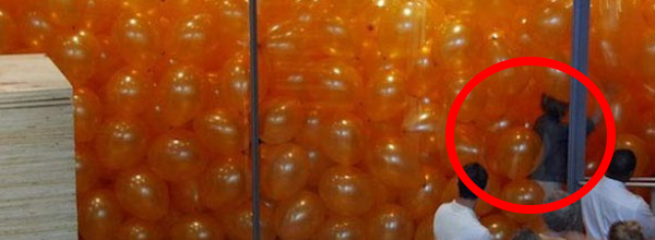 A Room Full Of Balloons Taught These People How To Work Together.