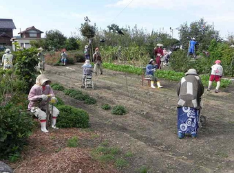 Why Are There So Many People Sitting In This Field? … Oh.