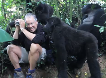 He Was Only Trying To Take Some Gorilla Pictures, But He Got So Much More Than That. OMG.