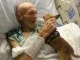 A Dying Man’s Wish Was To Be Reunited With His Beloved Dog One Last Time.