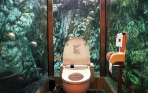 Here Are 23 Toilets You Absolutely Must ‘Occupy’ Before You Die. Although #2 Is Pretty Much Insane.
