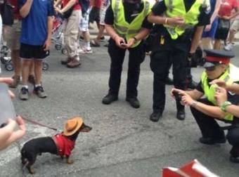 These 20 Police Officers Deserve Official Awards For Being Extra Awesome.