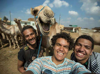 There Is At Least One Photogenic Camel In The World And He Is AMAZING.