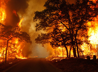 These Pictures Prove You Never Want To Be Caught In A Wildfire. Ever.