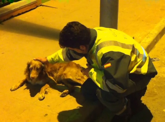 This Officer’s Compassion For An Abandoned Dog Will Bring You To Tears.