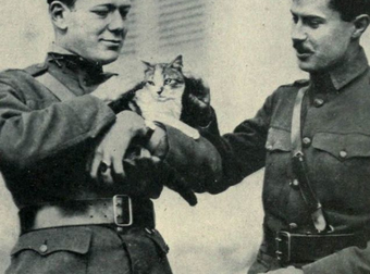These Photos Of World War I Show Soldiers With Their Cat Companions.