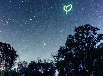 You Knew Fireflies Were Magical, But These Photos Make Them Even Better