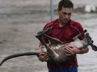 What These People Did For Animals In Need Is Extraordinary.