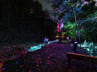 Am I Dreaming? This Park Turns Into An Illuminated Forest At Night.