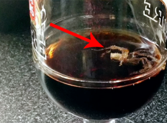 This Couple Did Not Expect To Share A Coke With A Spider. Ewwww.