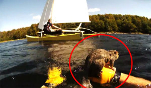 A Man And His Son Were Sailing When Suddenly They Spotted… WHAT? The Ending Is Awesome.