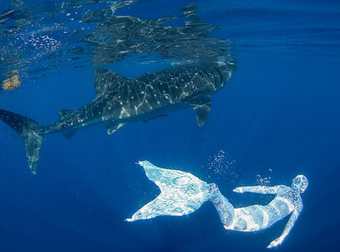 This Person Is Yarn Bombing The Ocean. Yeah, That’s A Thing.  It’s Awesome.