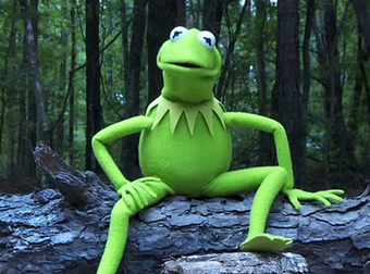 Even Kermit The Frog Has Done The ALS Ice Bucket Challenge. We Love Him For It.