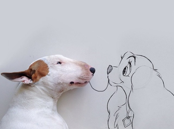 How To Have Fun With Your Pet If You’re An Artist. Best Dog Owner Ever.