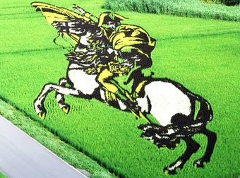 These Japanese Rice Fields Are Turned Into Works Of Intricate Art.