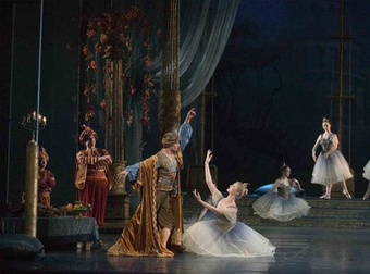 Ever Dream Of Joining The Ballet? Well…Don’t. Here’s Why You Shouldn’t.