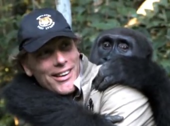 Gorilla Reunites With The Man Who Raised Him And It Is Just The Best.
