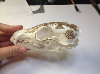 This Guy Creates Intricate Works Of Art On The Skulls Of Fallen Animals