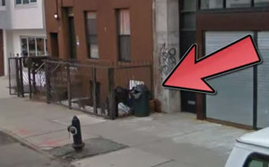 A Man Heard Crying Coming From A Trash Can. And I’m So Glad He Looked Inside!