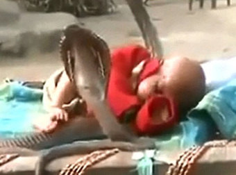 Freaky Video Shows a Baby Sleeping Peacefully While Surrounded By Cobra Snakes