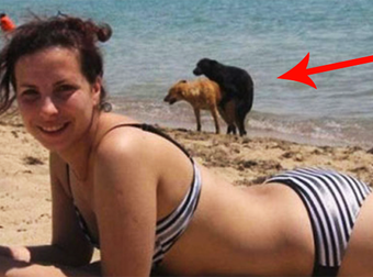 These 14 Animals Need To Mind Their Own Business. Quit Photobombing Us!