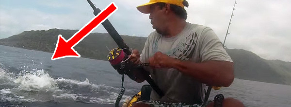 A Brave Shark Steals A Fish From An Excited Fisherman… D’oh!