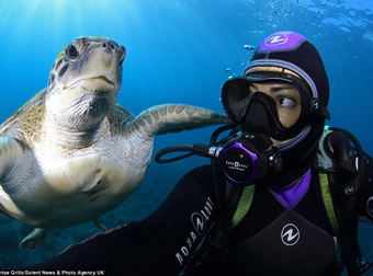 These Two Divers Got Up Close And Personal With These Amazing Sea Turtles.