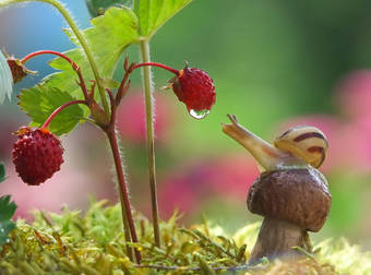 A Whimsical Photographer Finds Magic in the Tiniest Places. So Beautiful.