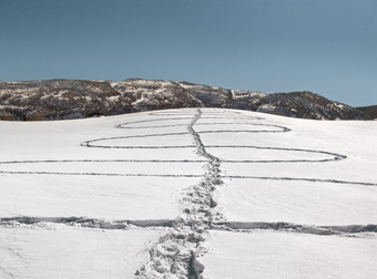 No These Aren’t Crop Circles, Wait Until You See What This Artist Does In The Snow.