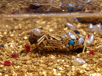 Science And Art Blend Together Perfectly With These Blinged Out Bugs. Cool, But Gross.