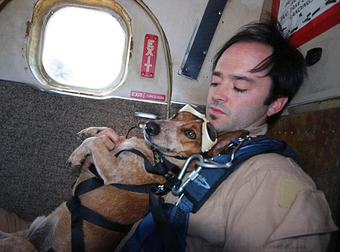 This Daredevil Dog Is Not Afraid Of Jumping Out Of Planes…Or Anything Else.