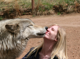 These 18 Kissing Animals Will Brighten Your Day, Guaranteed.